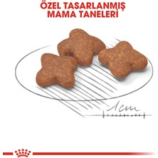 Royal Canin Mini Adult +8 Yaşlı Köpek Maması - 2 kg