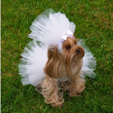 Max Design Pet Gelinlik ve Duvak Köpek ve Kedi Için Düğün Nikah Nişan Evlilik Kıyafeti