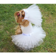 Max Design Pet Gelinlik ve Duvak Köpek ve Kedi Için Düğün Nikah Nişan Evlilik Kıyafeti