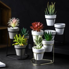 Yolanda Stand Flowerpot Minyatür Balkon Hediye Koleksiyonu İle Etli Tencereler (Yurt Dışından)