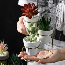 Yolanda Stand Flowerpot Minyatür Balkon Hediye Koleksiyonu İle Etli Tencereler (Yurt Dışından)