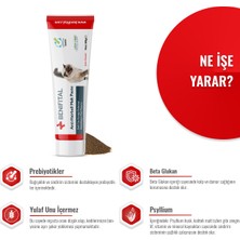 Malt Paste 100 Gr Kedi Tüy Yumağı Önlemeyi Destekleyen Prebiyotikli Malt Macun Yulaf Unu ve İlave Şeker İçermez