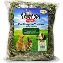 Beak's Tavşan, Hamster, Ginepig Kemirgen yonca otu