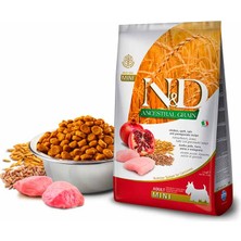 N&D Düşük Tahıllı Tavuklu Narlı Küçük Irk Yetişkin Köpek Maması 7 kg Mini Adult Dog Food