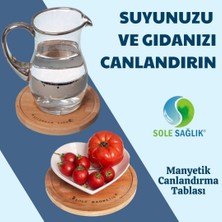 Sole Canlandırma Tablası 20 Cm