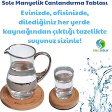 Sole Canlandırma Tablası 20 Cm