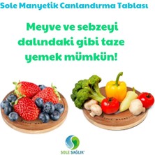 Sole Canlandırma Tablası 20 Cm