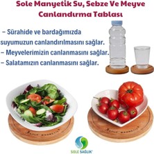 Sole Canlandırma Tablası 20 Cm