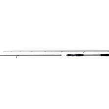 SHIMANO Bassterra Xt+ Spin Sea Bass 2,44M 8'0" 4-21G 2pc Spin Olta Kamışı