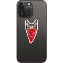 Quart Aksesuar Kedi Cat Tasarımlı Laptop Notebook Tablet Telefon Sticker Set 20 Quart Aksesuar
