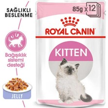 Royal Canin Kitten Jelly Yavru Kedi Konserve 12 x 85  gr