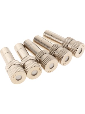 Yolanda 5pcs 0.3mm Düşük Basınçlı Nozul 6mm Sis Memesi Sulama Aracı Iki 0.3mm (Yurt Dışından)