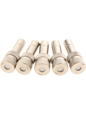 Yolanda 5pcs 0.3mm Düşük Basınçlı Nozul 6mm Sis Memesi Sulama Aracı Iki 0.3mm (Yurt Dışından)