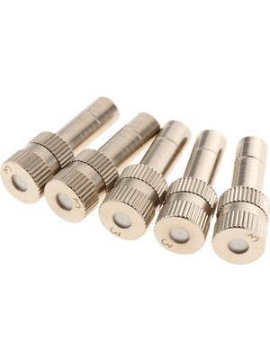 Yolanda 5pcs 0.3mm Düşük Basınçlı Nozul 6mm Sis Memesi Sulama Aracı Iki 0.3mm (Yurt Dışından)