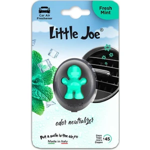 Joe Membrane Araba Kokusu Fresh Mint (Taze Nane)