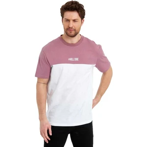 Erkek Bisiklet Yaka Blok Renkli Regular Fit Baskılı Tişört