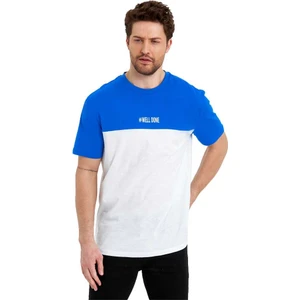 Erkek Bisiklet Yaka Blok Renkli Regular Fit Baskılı Tişört