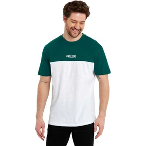 Erkek Bisiklet Yaka Blok Renkli Regular Fit Baskılı Tişört