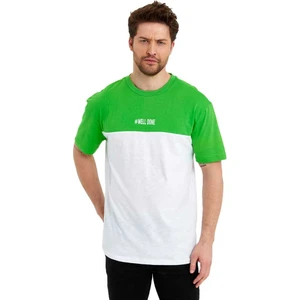 Erkek Bisiklet Yaka Blok Renkli Regular Fit Baskılı Tişört