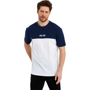Erkek Bisiklet Yaka Blok Renkli Regular Fit Baskılı Tişört