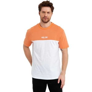 Erkek Bisiklet Yaka Blok Renkli Regular Fit Baskılı Tişört