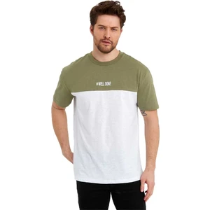 Erkek Bisiklet Yaka Blok Renkli Regular Fit Baskılı Tişört