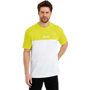 Erkek Bisiklet Yaka Blok Renkli Regular Fit Baskılı Tişört