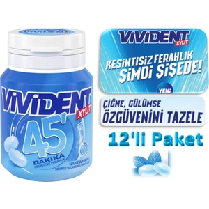 45 Dakika Nane Comfort Sakız