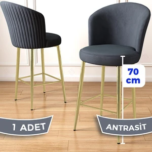 Concept Fora Serisi 1 Adet Babyface Kumaş Gold Kaplama Metal Ayaklı Ada Mutfak Bar Sandalyesi
