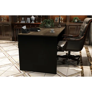 Swan Ofis Çalışma Masası