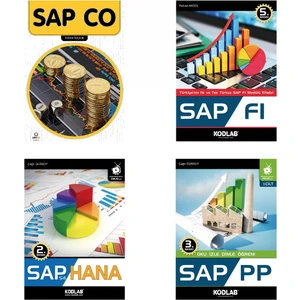 Kodlab Yayınları Sap Programlama Seti
