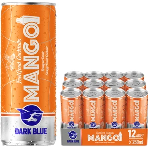 Dark Blue Mango Enerji Içeceği, 250 ml (12'li Paket, 12 Adet x 250 Ml)