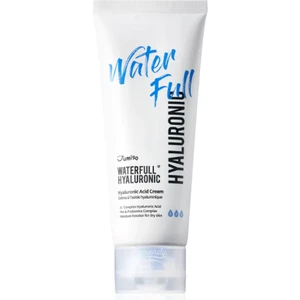 Waterfull Hyaluronic Acid Cream - Yağlandırma Yapmayan Nem Bombası 100ML