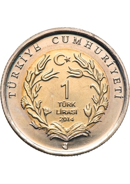 2014 Yılı Uzun Kulaklı Kirpi Hatıra Bimetal Çil fiyatları