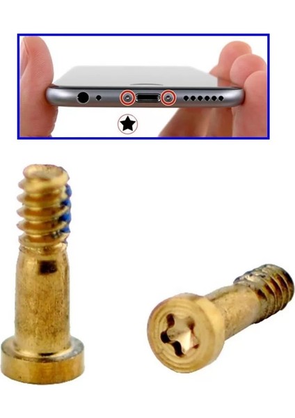 iPhone 6 Alt Vida 2'li Set Gold