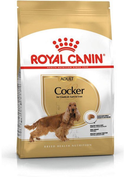 Cocker Yetişkin Köpek Maması - 3 kg