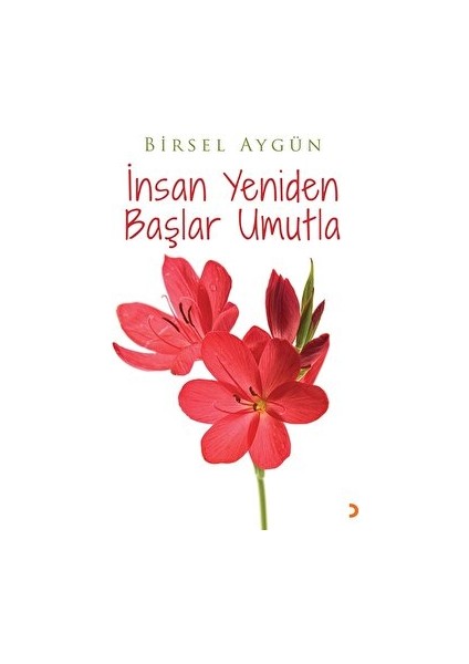 Insan Yeniden Başlar Umutla - Birsel Aygün