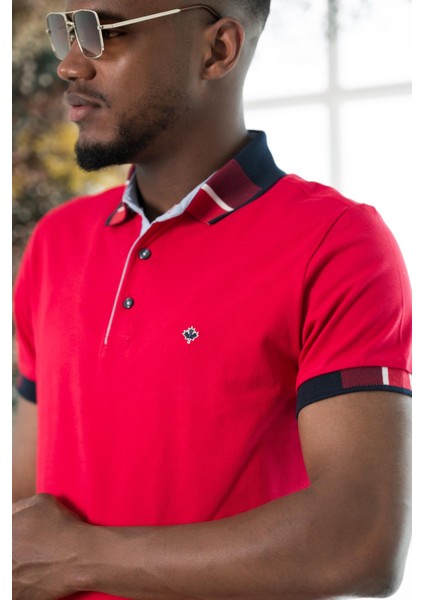 Regular Fit Desenli Polo Yaka Pamuklu Lakost Kumaş Kısa Kol Erkek T-Shirt indirimleri