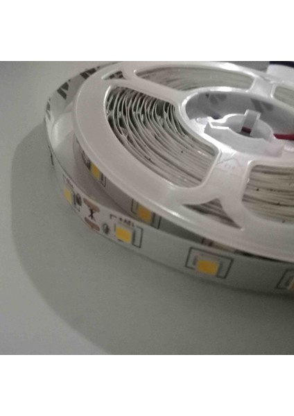 Şerit LED modelleri