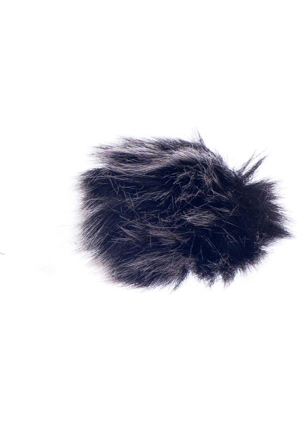 2 Adet Ön Cam Peluş Lavalier Yaka Mikrofon Kapağı Kol Çıkarılabilir Siyah (Yurt Dışından) fırsatları