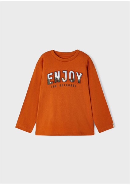 Erkek Çocuk Kabartma Baskılı Sweatshirt fiyatları
