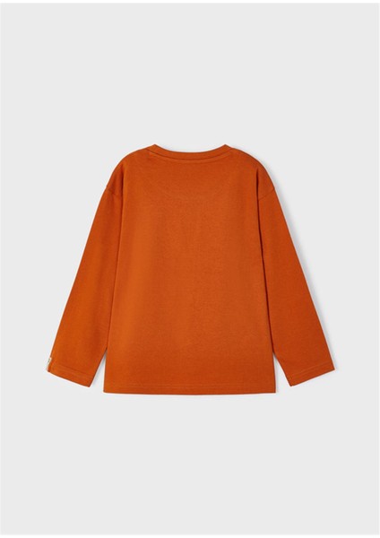 Erkek Çocuk Kabartma Baskılı Sweatshirt modelleri