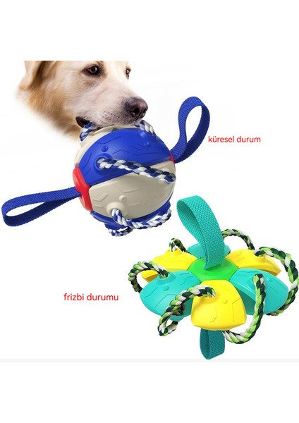 Pet Etkileşimli Açık Hava Eğitimi Futbol Köpek Oyuncağı (Yurt Dışından) fiyatları