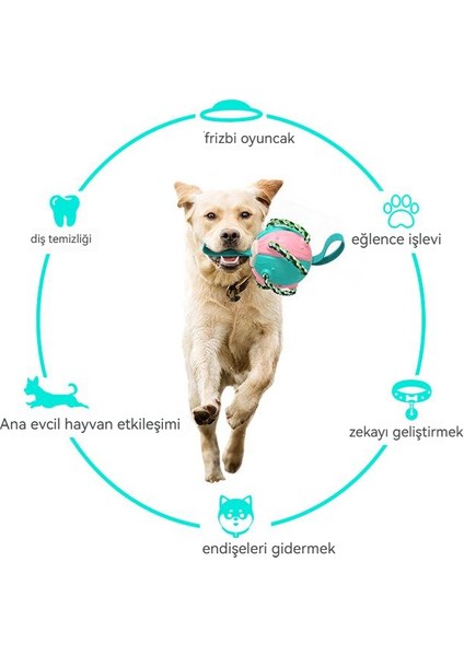 Pet Etkileşimli Açık Hava Eğitimi Futbol Köpek Oyuncağı (Yurt Dışından) modelleri