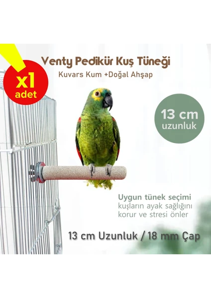 Venty 13 cm 18 mm Pedikür Papağan Tüneği | Jako | Sultan | Monk | Lori | Jumbo Muhabbet | Kakariki | Senegal | Sevda | Cennet