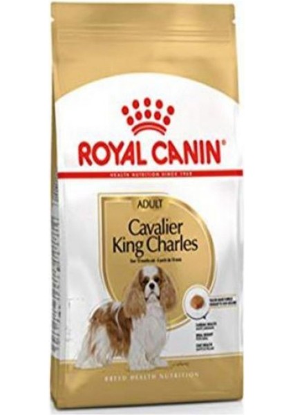 Cavalier King Charles Yetişkin Köpek Maması 1.5 kg fiyatları