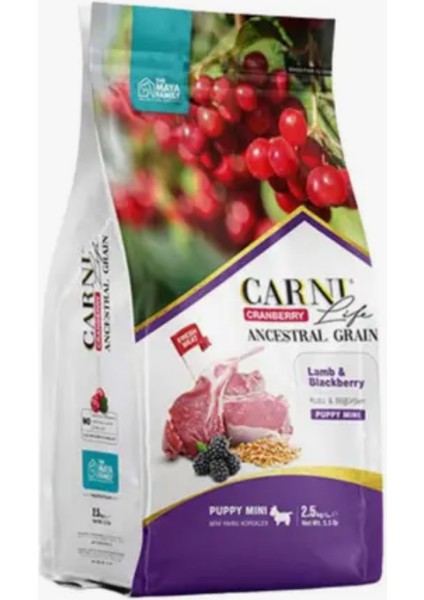 Life Kızılcık Kuzu Etli ve Böğürtlenli Mini Irk Yavru Köpek Maması 2.5 kg fiyatları