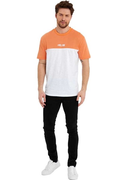 Erkek Bisiklet Yaka Blok Renkli Regular Fit Baskılı Tişört fiyatları