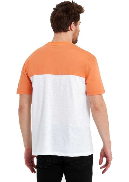 Erkek Bisiklet Yaka Blok Renkli Regular Fit Baskılı Tişört fırsatları