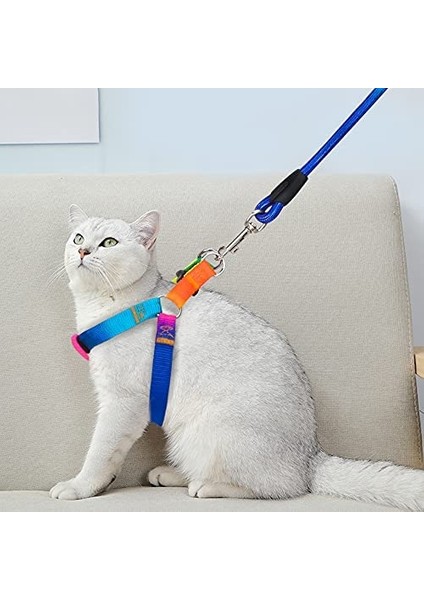 Gökkuşağı Dağcılık Halatı Medium Köpek Takım Tasma 12KG Max